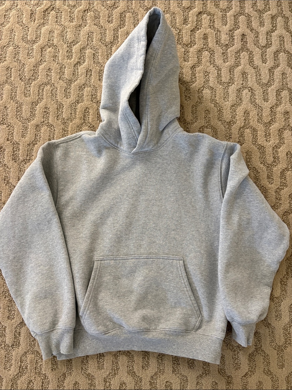 Aritzia Heather Gray Hooded Sweatshirt